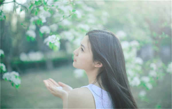 马关验血查男女几周可以验(验血查男女结果图)